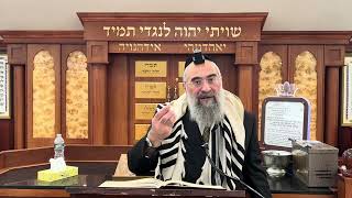 ברכה אחרונה על פרי שלם שאין בו כזית (הרב יצחק ישראלי) - התמונה מוצגת ישירות מתוך אתר האינטרנט יוטיוב. זכויות היוצרים בתמונה שייכות ליוצרה. קישור קרדיט למקור התוכן נמצא בתוך דף הסרטון