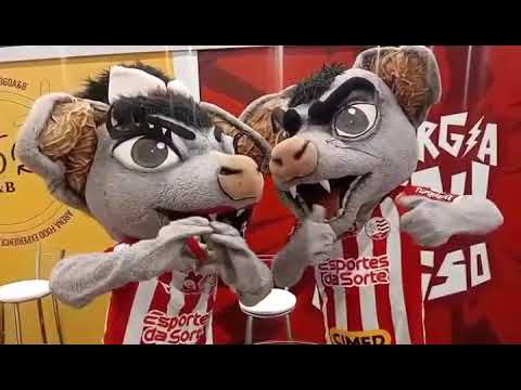 Confut 2025: As Melhores Cenas, Bastidores e Surpresas!”