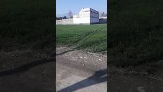 Download lagu my village#and#spirang season mp3 Download lagu my village#and#spirang season mp3