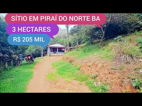 SÍTIO À VENDA EM PIRAÍ DO NORTE BA CÓDIGO:0252 ZAP 73981663547 MARCIO 