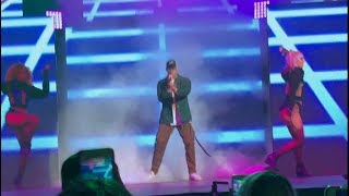 Bad Bunny Concert San Jose