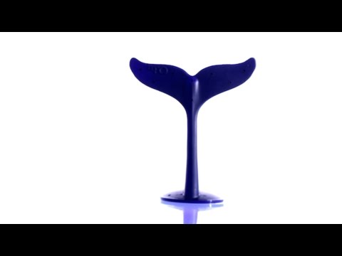 WhaleTail — Product Overview