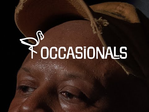 "Head in the Sand" LIVE at Fox Lounge in Gainesville