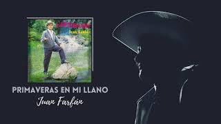 Primaveras En Mi Llano Lyrics English Translation