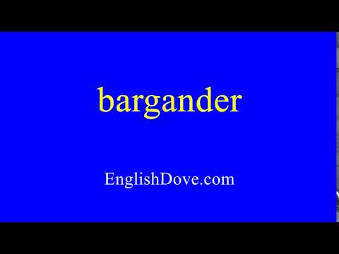 How to pronounce bargander in American English.