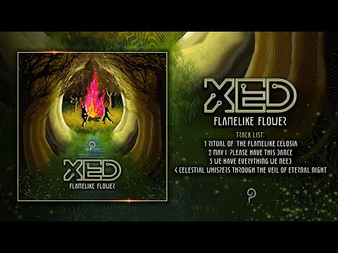 XED - May I Please Have This Dance