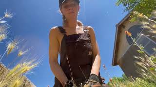 Cultivating Wildflowers, part 2