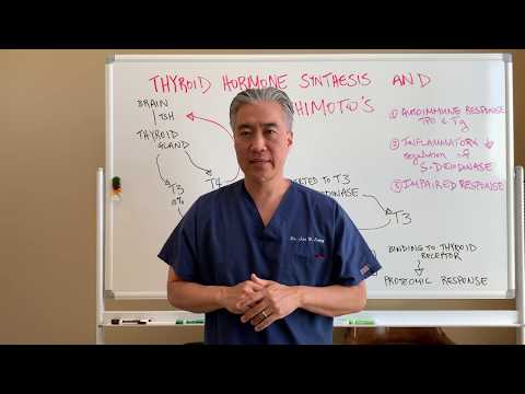 Understanding Thyroid Dysfunction Hashimoto s Part 1 Signs and Symptoms