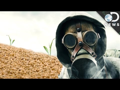 Why Humanity Needs This Doomsday Seed Vault