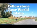 Up Close Wildlife Adventure Our Family S Visit To Yellowstone Bear World