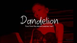 DANDELION - LIVE from The Eternal Sunshine Tour (edit by Monster Films)