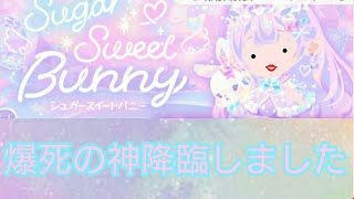 やはり私は爆死の神であった……ポケコロ実況【33】