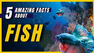 Amazing Facts About Fishes | FactStar | #Shorts