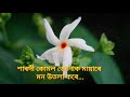 শাৰদী কোমল জোনাক মায়াৰে Xarodi Kumol Junak Mayare Munmi B