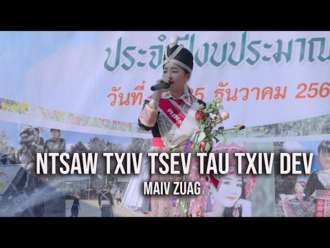 Ntsaw txiv tsev tau txiv dev - Zuag Thoj Concert Nyob thaib teb.