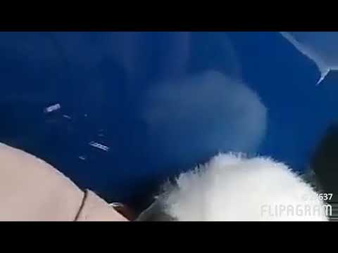 Service 350 (ADL E200 MMC 'moggy' 26173)