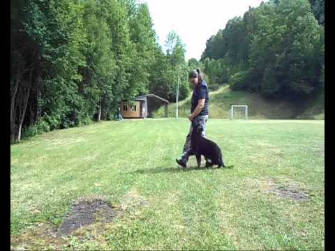 Fiha z Duhového lesa - Jamba 3,5 měsíce