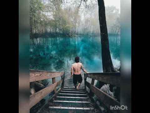 TRACK - Lungset Kidang (Lovejoy khongsai)