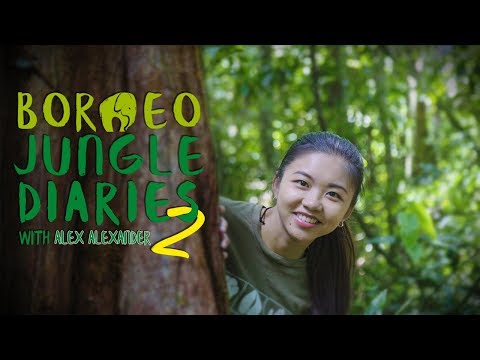 Borneo Jungle Diaries (Season 2) | Official Trailer [4K] | SZtv
