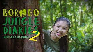 Download lagu Borneo Jungle Diaries (Season 2) |  Trailer [4K] | SZtv mp3