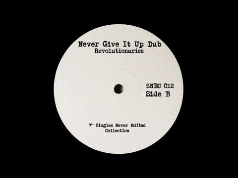 Vincent Taylor - Never Give It Up / Revolutionaries - Never Give It Up Dub