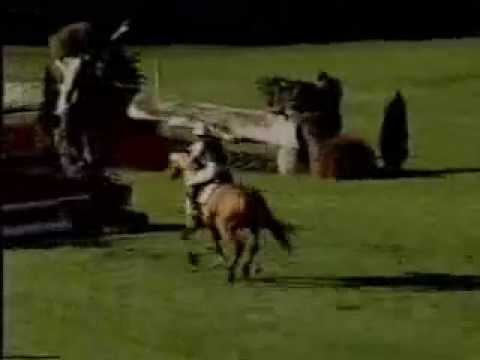 Altmarkhofs Florin Gold beim Bundeschampionat