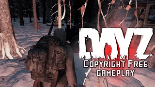 Relaxing DayZ Gameplay - No Copyright - Free To Use (1440p)