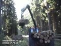 Видео Манипулятор Farmi Forest HK серии 45