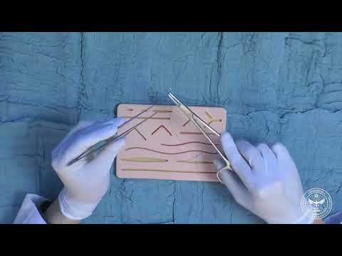 Sutura "U Vertical" (Blair-Donati)