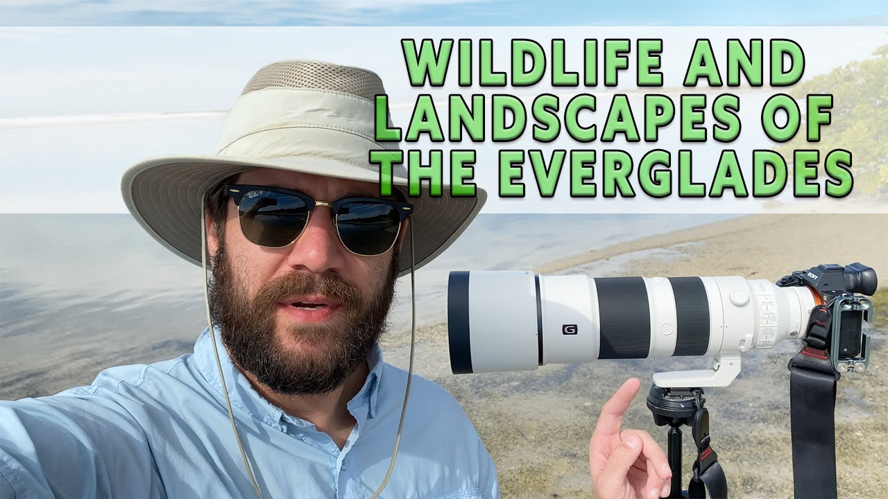 Landscape and Bird Photography in the Everglades - Part 1