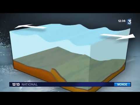 Attention âme sensible ! Tsunami Du 26 Décembre 2004