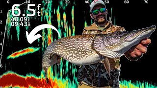 GIANT Pike In SHALLOW Water (Multiple 40+ Inch Fish)