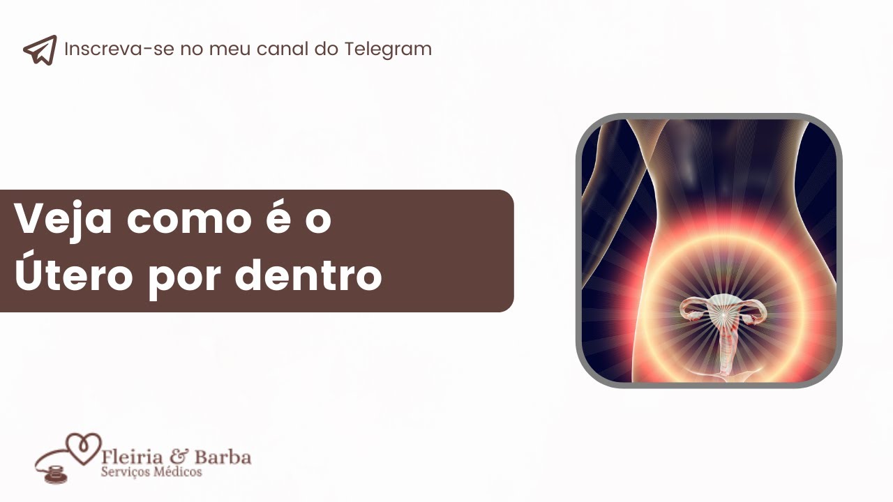 Veja como é o Útero por dentro