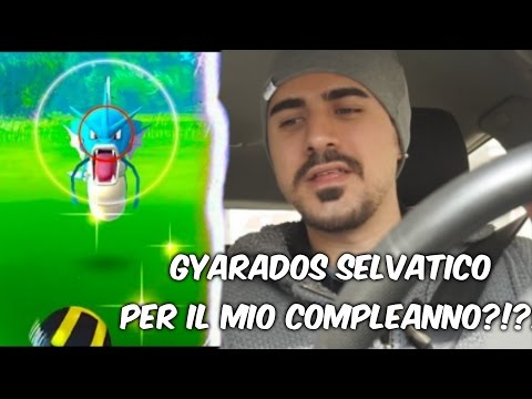 [NON CI CREDO!!!] GYARADOS SELVATICO IL GIORNO DEL MIO COMPLEANNO!! POKèMON GO ITA A O