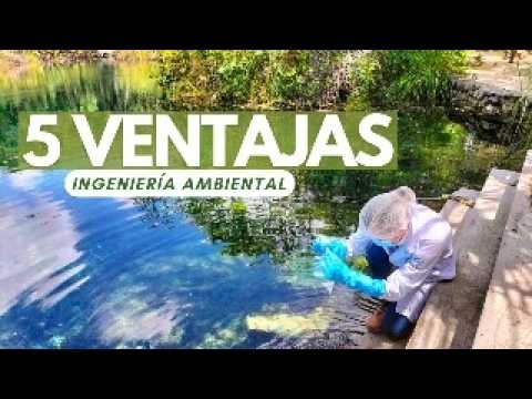 5 Reasons to Study Environmental Engineering🌱