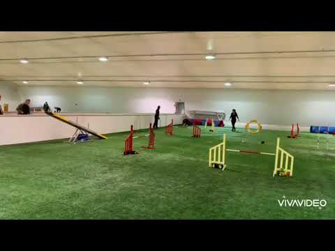 Team tikkaat leiri 3