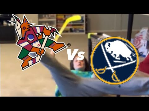 Coyotes vs sabres knee hockey Game 2!!!
