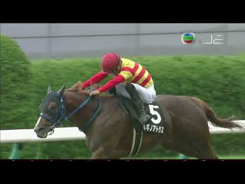 2020 Hananomichi Stakes - Hagino Atlas (萩野承天) - Y.Kawada