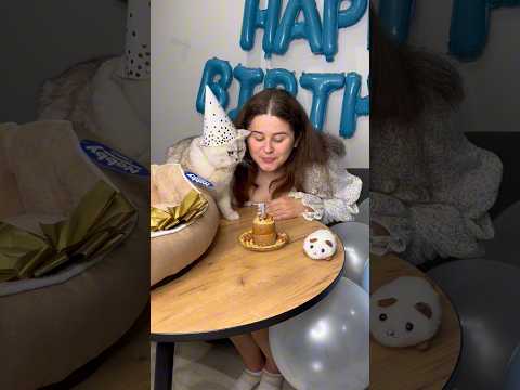 BIRTHDAY IN MANI 😺🎉❤️ Subscribe to support😺❤️ #cat #cats #americe #happybirthday