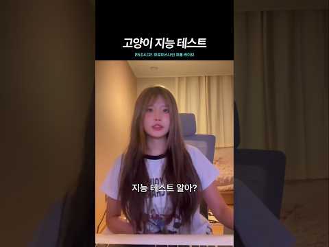 프로미스나인 송하영의 고양이 지능 테스트