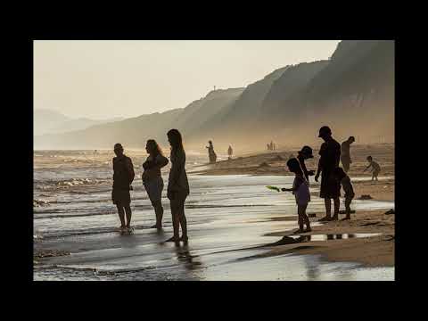 Zuiso 随想 想いをつづる 想いがひろがる