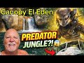 Explorando El Edén La Auténtica Selva De Depredadores Puerto Vallarta Cascadas Tirolesa