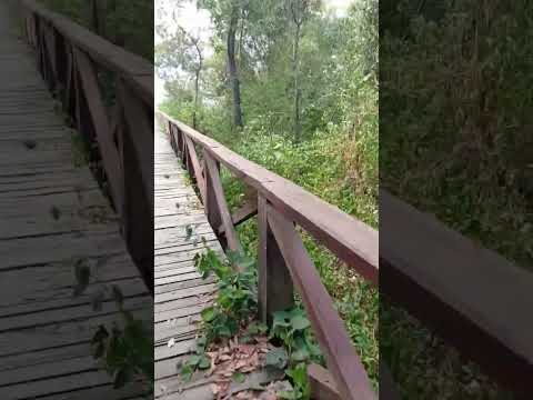 Reserva Natural el Zanjón Loreto Ituzaingó Corrientes Objetivo 🎯 Playa las Mil