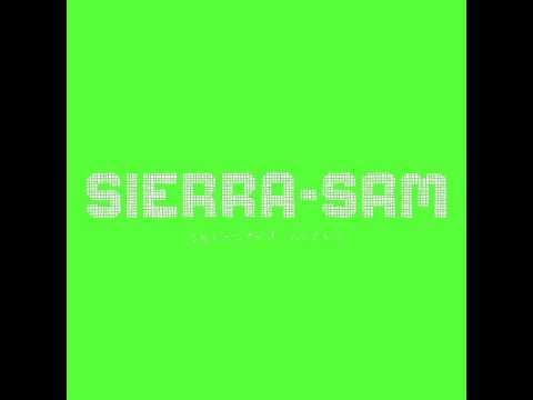 Sierra Sam & Cesar vs Disorder - The Ride ft. Leila Tov (Original mix)