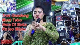 Download lagu Parik ane Kurang Saru De..... mp3
