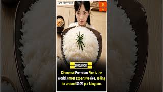 Download lagu BERAS TERMAHAL DI DUNIA?! Beras Premium Kinmemai - $109 per kg #fakta #beritapendek #faktamenarik mp3
