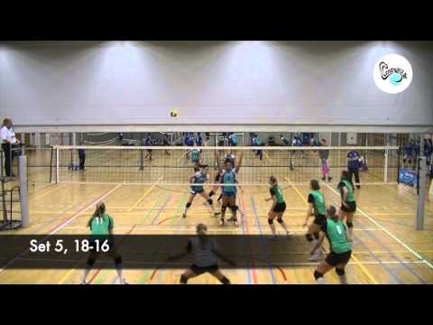 Compilatie Flamingo's '56 - Alterno 2