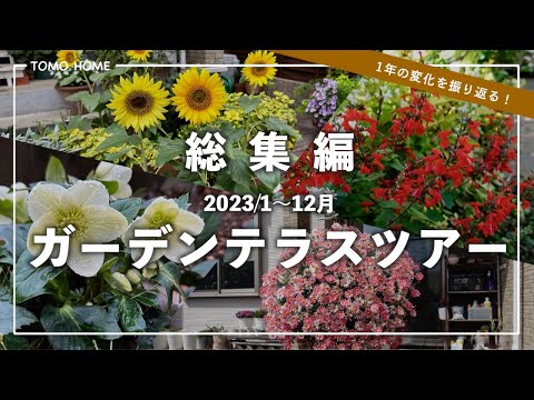 ガーデンシャワー:簡単なリフレッシュメント ガーデンデザイン