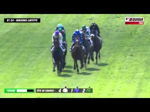 Digne fils de Zarkava : ZARAK