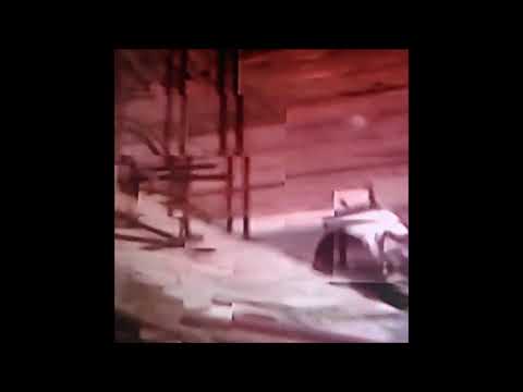 02. evryn - counting every step